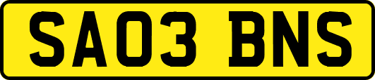 SA03BNS