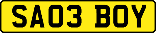 SA03BOY