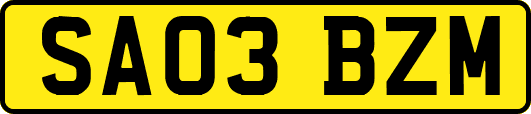 SA03BZM