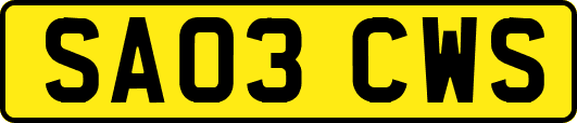 SA03CWS