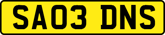 SA03DNS