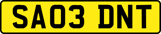 SA03DNT