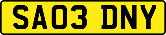 SA03DNY