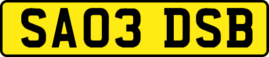 SA03DSB