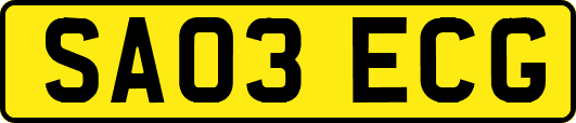 SA03ECG