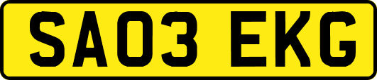 SA03EKG