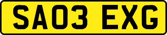 SA03EXG