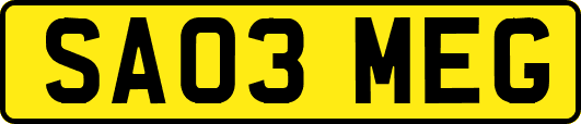 SA03MEG