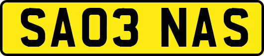 SA03NAS