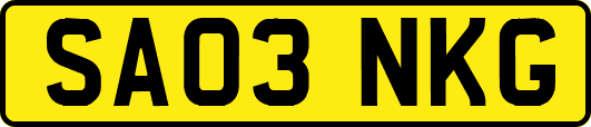 SA03NKG