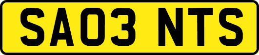 SA03NTS