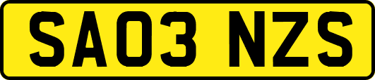 SA03NZS