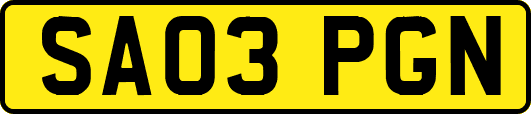 SA03PGN