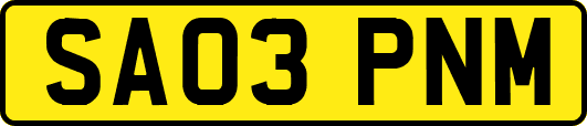 SA03PNM