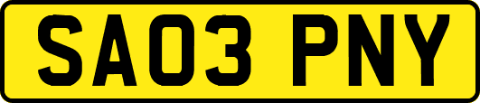 SA03PNY