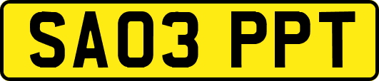 SA03PPT
