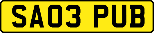 SA03PUB