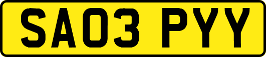 SA03PYY