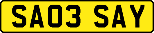 SA03SAY