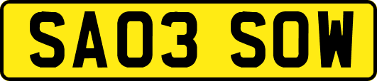 SA03SOW