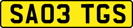 SA03TGS