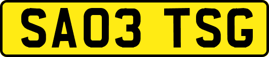 SA03TSG