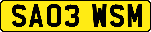 SA03WSM