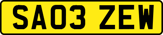 SA03ZEW