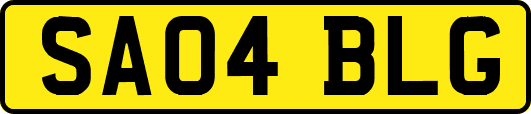 SA04BLG