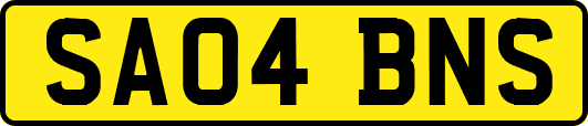 SA04BNS