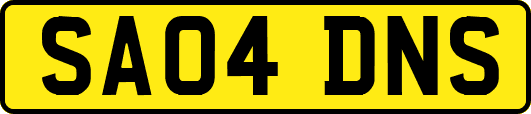 SA04DNS