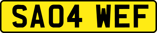 SA04WEF