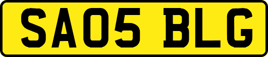 SA05BLG