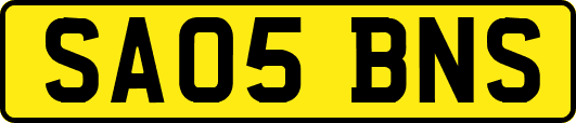 SA05BNS