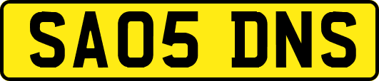 SA05DNS