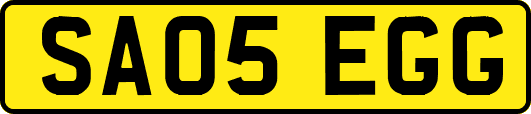 SA05EGG