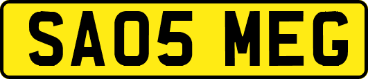 SA05MEG