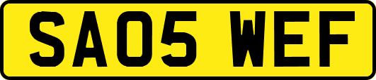 SA05WEF