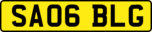 SA06BLG