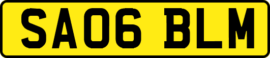 SA06BLM