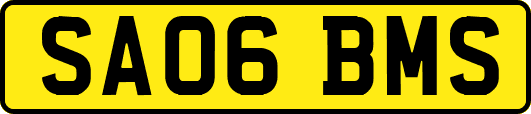 SA06BMS