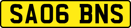 SA06BNS