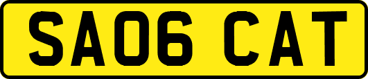 SA06CAT