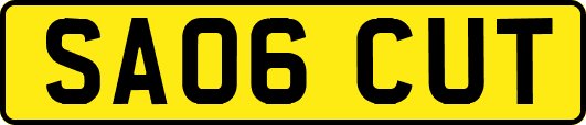 SA06CUT