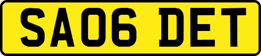 SA06DET