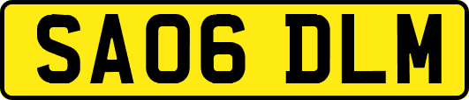 SA06DLM