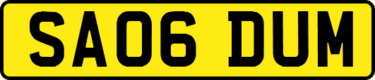 SA06DUM