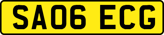 SA06ECG