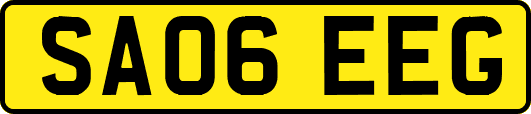 SA06EEG