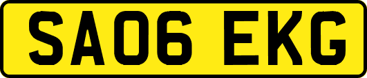 SA06EKG